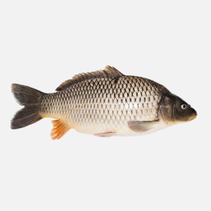 Karp patroszony 1kg - Rybactwo ŻELAZNO