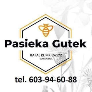 PASIEKA GUTEK